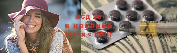 гашик Горняк