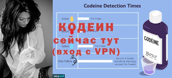 гашик Горняк