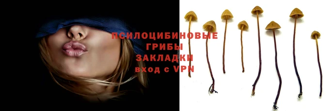 гашик Горняк