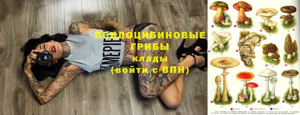 дживик Гусиноозёрск