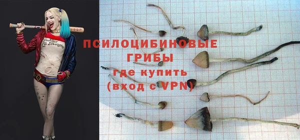 spice Горнозаводск