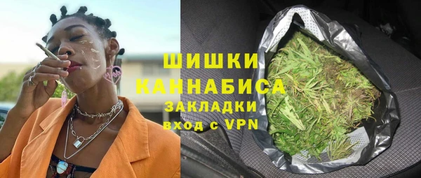 гашик Горняк