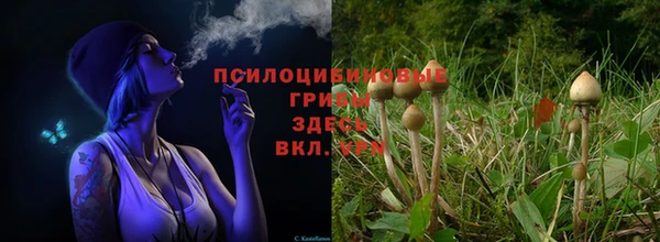 гашик Горняк
